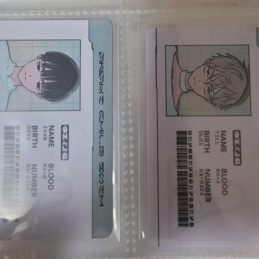 

Ace Evantil Id Kard Bulk