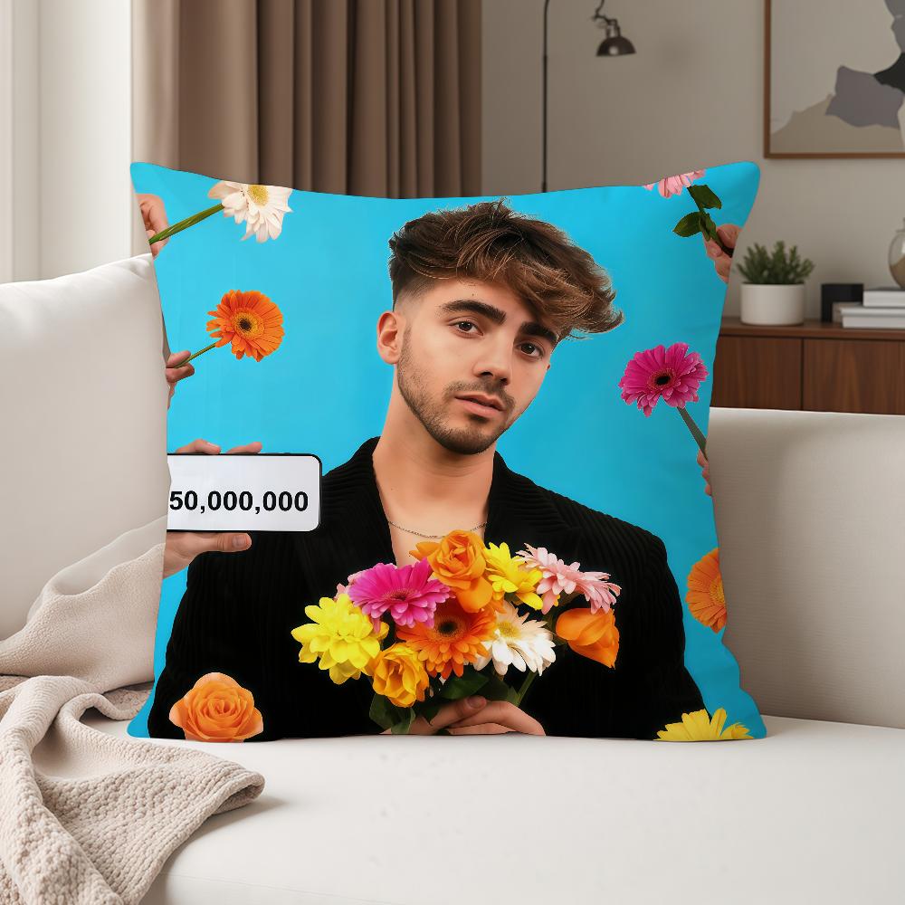 Internet Celebrity Fede V-Vigevani Pillow Case Suitable For Bedrooms Living Rooms Cars Home Decoration