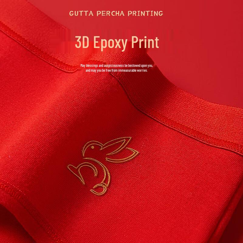 Women's Red Zodiac Lucky Cotton Briefs & Socks Gift Set