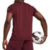 PUMA Manchester City 24/25 Third Football Jersey 'Dark Jasper' Men's 775201-03