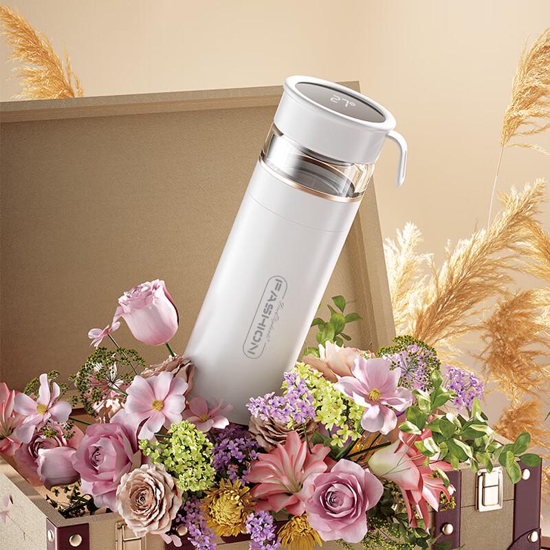 Huoxiang HXB-B177 Chris Tea Master Insulated Mug