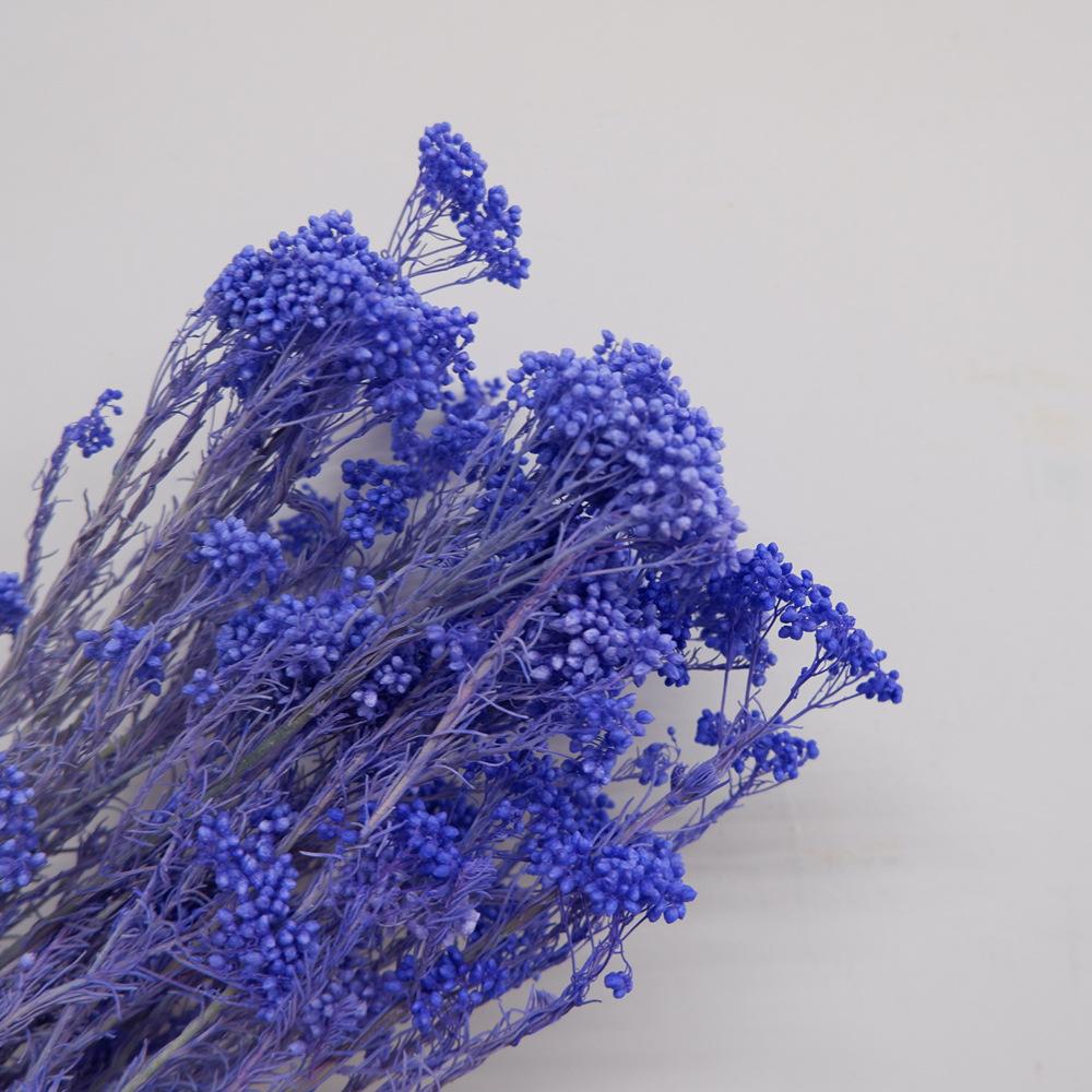 Eternal Flower Bleaching Millet Flower, Preserving Flowers, Rice Flower Eternal Flower Dried Flower Rice Grass Home Decoration Bouquet Accessories