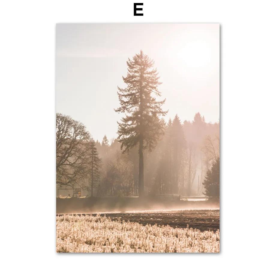 Autumn Bridge Lake Forest Wheat Grass Fall Posters Prints Canvas Painting Nordic Wall Art Pictures For Living Room Home Decor