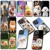 Pomeranian Dog Pet Animal Phone Cover for Samsung Galaxy Note 20 9 10 S8 S10 Lite S9 Plus A54 A53 A21S S10E A17 Coque Case