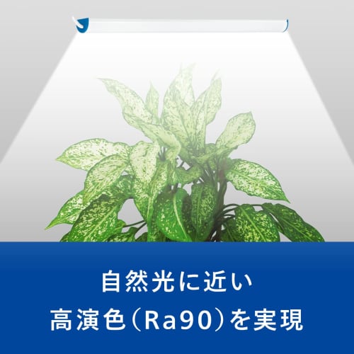 Philips Plant Growing Light, LED Plant Light, Ornamental Plant Growing Light, USB Light, LED Light for Plants, Energy Saving, Hydroponics, Plant Growi
