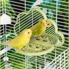 Clouds Shape Bird Mirror Save Space Parrots Feeders Platform Stand Bird Perch Stand  for Bird Cage