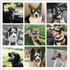 Plastic Pet Goggles Anti-UV Multicolor Pet Sunglasses Adjustable Sun Shading Dog UV Protection Glasses