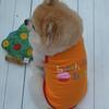 Pet Puppy Summer Vest Birthday Dress T-shirt Clothes