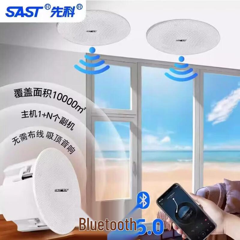 SAST Wireless Bluetooth Embedded Ceiling Speaker System CN plug (adapter included)