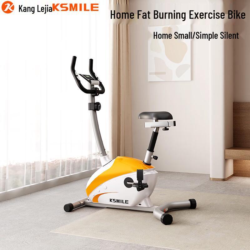 KangLeJia K8502 Compact Magnetic Upright Exercise Bike CN plug (adapter included)