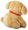 Maltese & Retriever Plush Toy (Puppy Shape) Medium [Official]  Maltese Retriever Korean Puppy (Retriever)