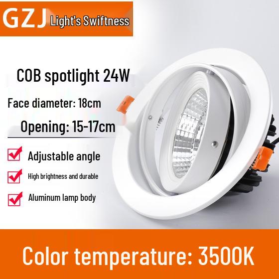Recessed 20W Spotlight Downlight for Clothing Stores, 15-30W Commercial Ceiling Light
