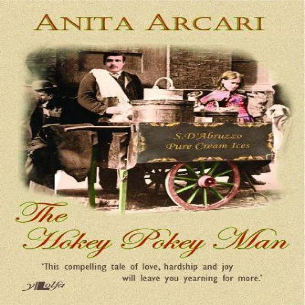 Hokey Pokey Man The by Anita Arcari Paperback Book 9781847712578