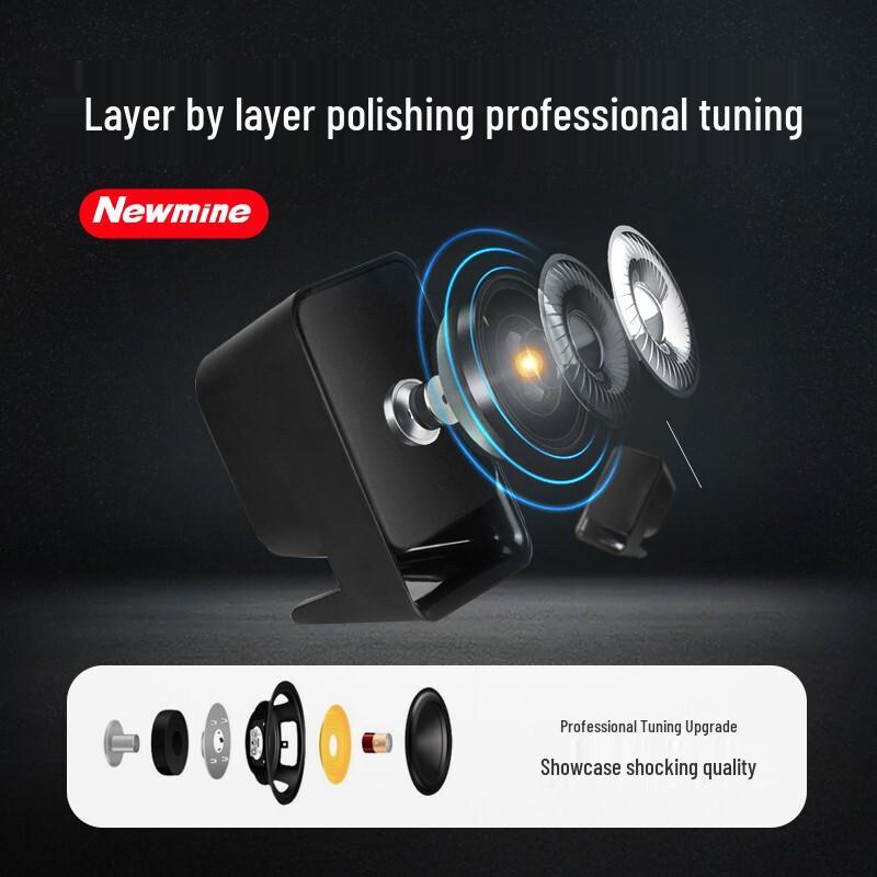 Newmine Desktop & Laptop Computer Speakers