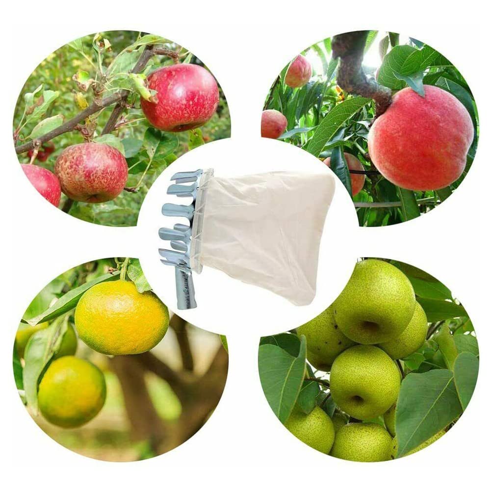 Ergonomic Fruit Picker Effective Metal Manual Anti-rust Picking Tool for Garden