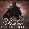 The Prodigal Mage by Karen Miller Paperback Book 9781841497488