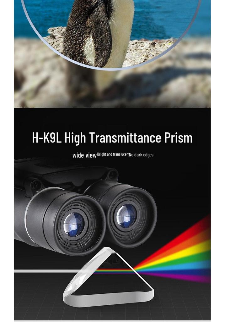 10x25 HD Fernglas mit Handy-Adapter für Konzerte und Outdoor-Fotografie