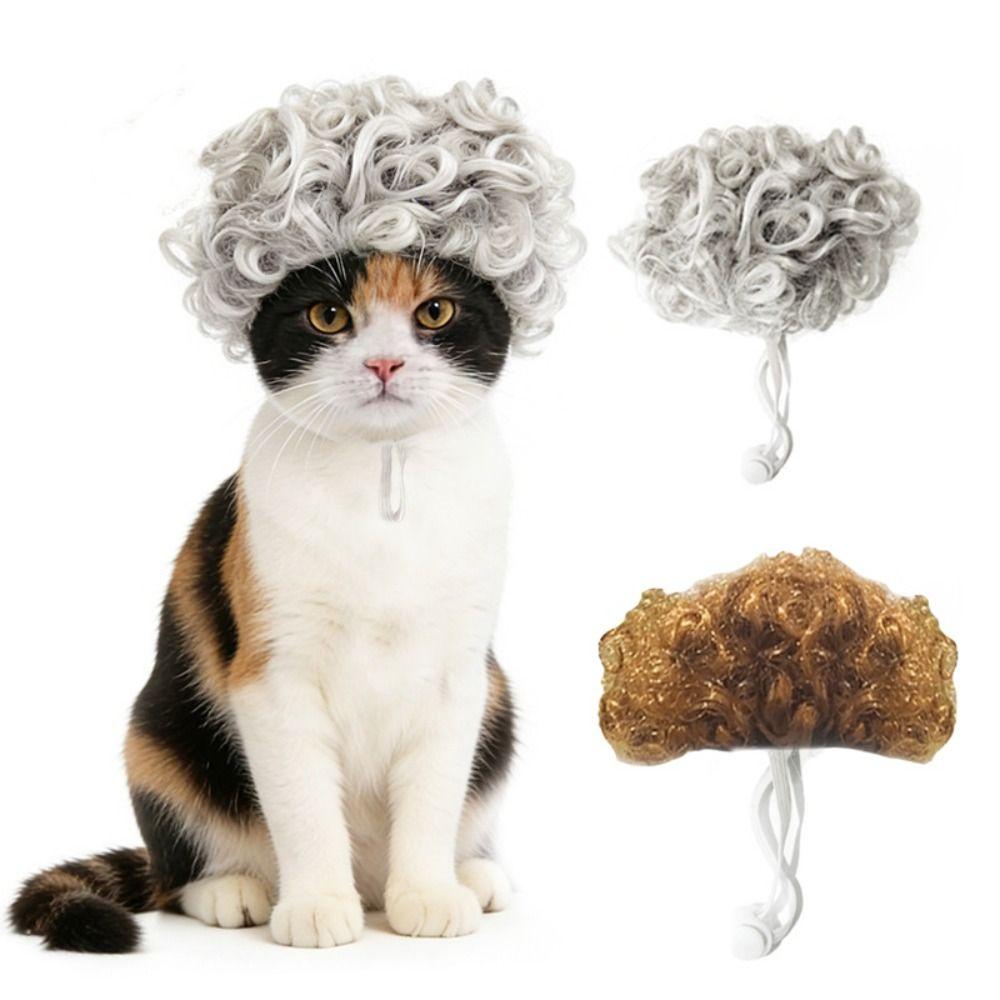 Curly Cat Funny Headpiece Adjustable Pet Cosplay Wigs Novelty Cat Cosplay Headwear  Cosplay Events