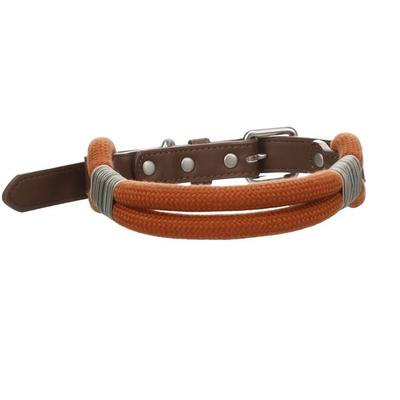 Psi – Obojky a vodítka pro psy