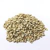 YUVIKA Pamba Dana - Binola Giri - Gossypium Herbaceum - Cotton Seeds (100 Grams)