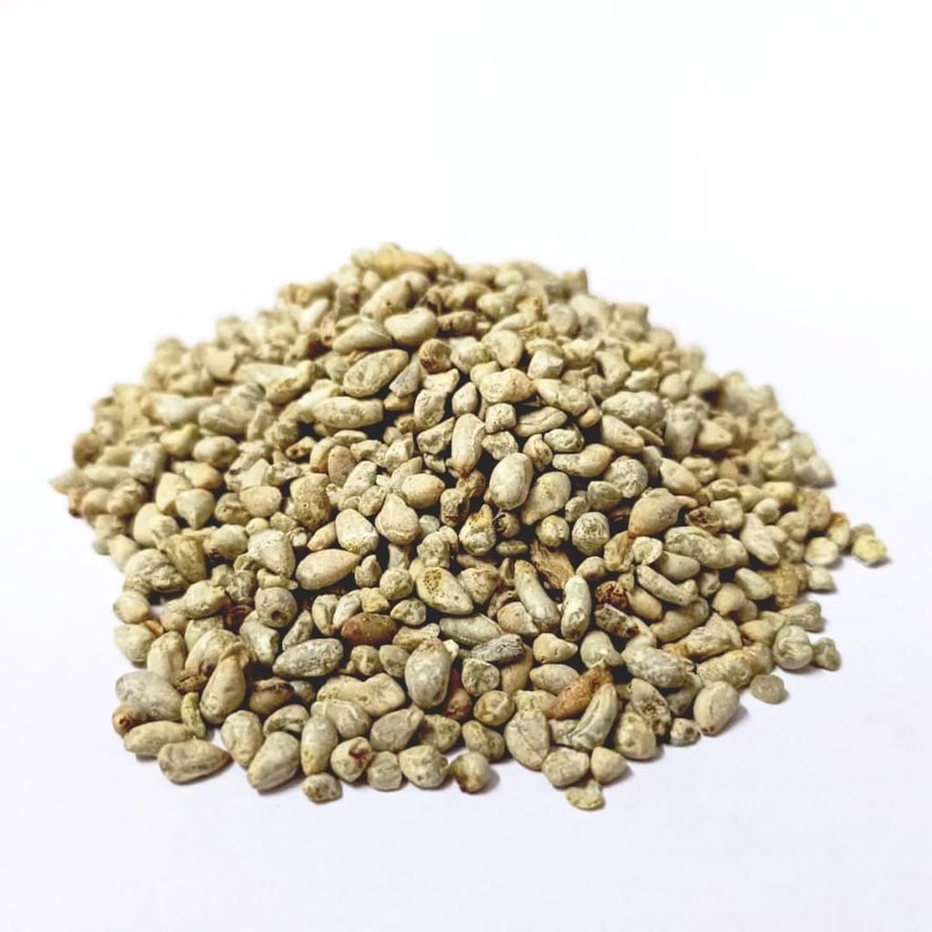 YUVIKA Pamba Dana - Binola Giri - Gossypium Herbaceum - Cotton Seeds (100 Grams)