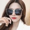 Trendy Large Frame Square Sunglasses - Korean Street Style for Women