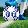Pallone da Calcio 1.FC Magdeburg Taglia 5, Cucito a Macchina in PVC, Resistente e ad Alto Rimbalzo, Adatto a Tutte le Età, Merchandising per tifosi, Partite e Uso all'Aperto.
