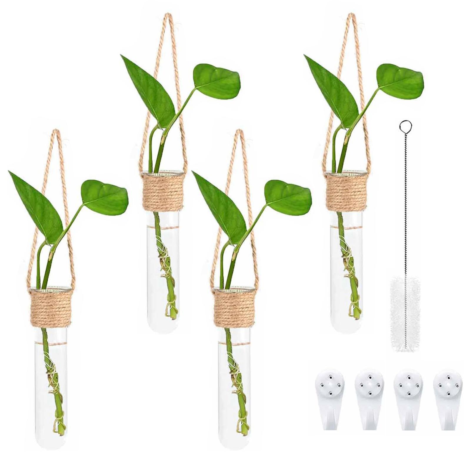 

9pcs Wall Hanging Glass Planter Wall Mounted Decorative Flower Vase Set Small Wall Vase Window Decoration