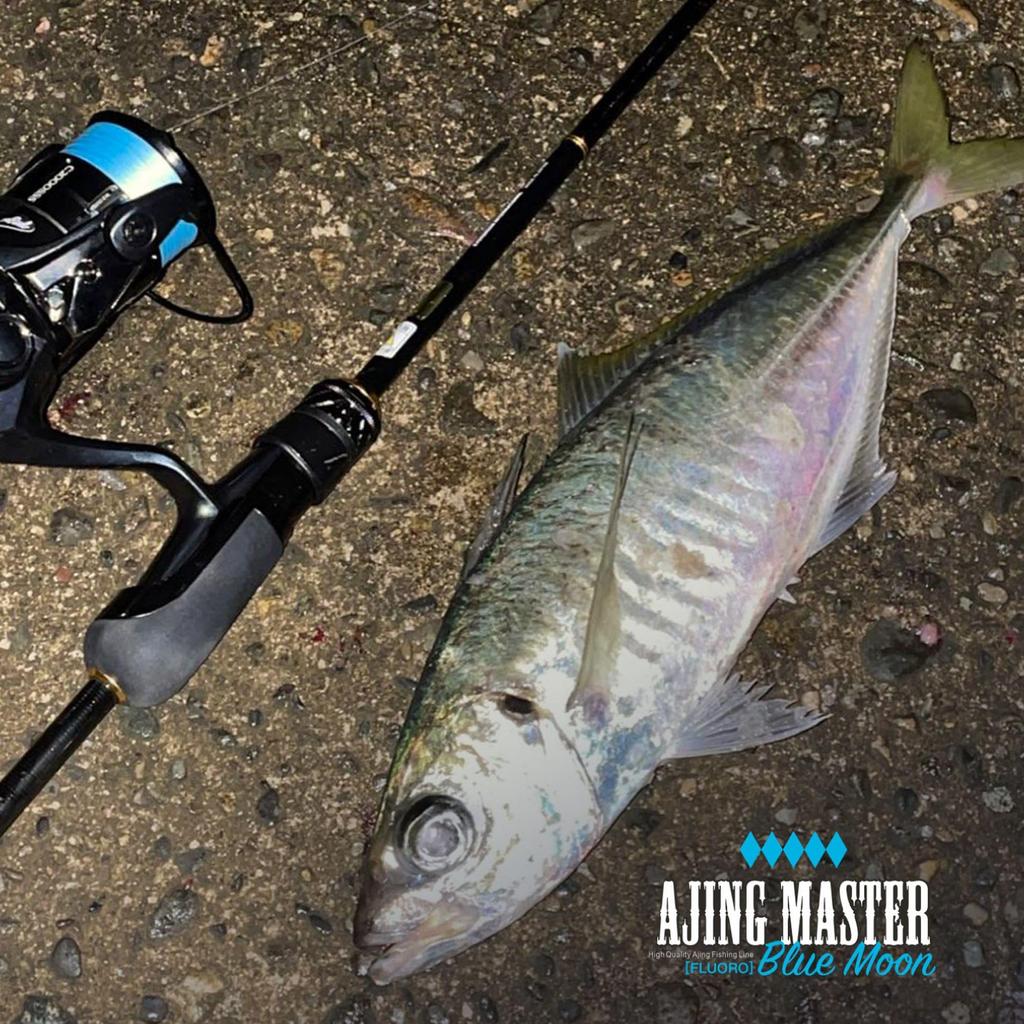 VARIVAS Ajing Master Fluorocarbon Blue Moon 150m 3Lb (0.8)