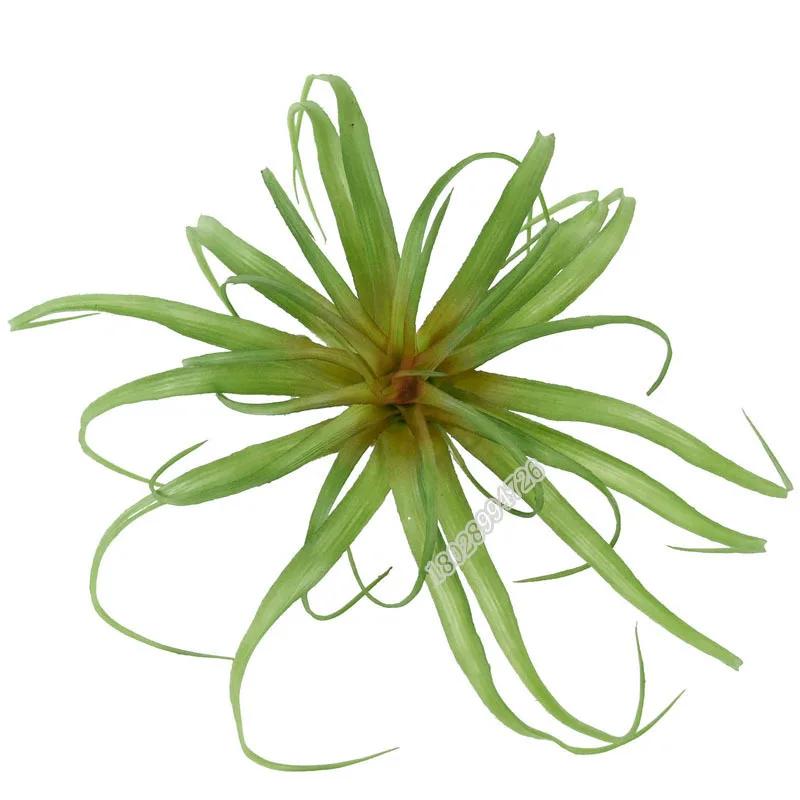 Artificial Flocking Fake Bromeliads Air Plants Hanging Simulation Tillandsia Plants For Home Wedding Party Flower Decoration