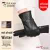 Woodpecker Women's Genuine Sheepskin Winter Gloves