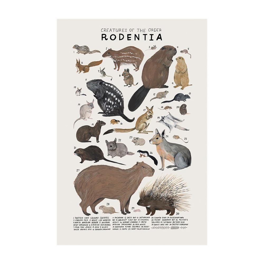 Abstract Marine Organisms Jellyfish Whale Squid Fishes Posters Canvas Painting and Prints Wall Art Picture for Room Home Decor