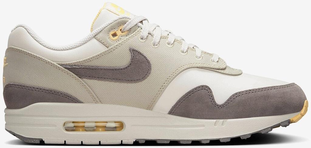 Кроссовки Nike Air Max 1 Premium IB6390-001 Schuh grau