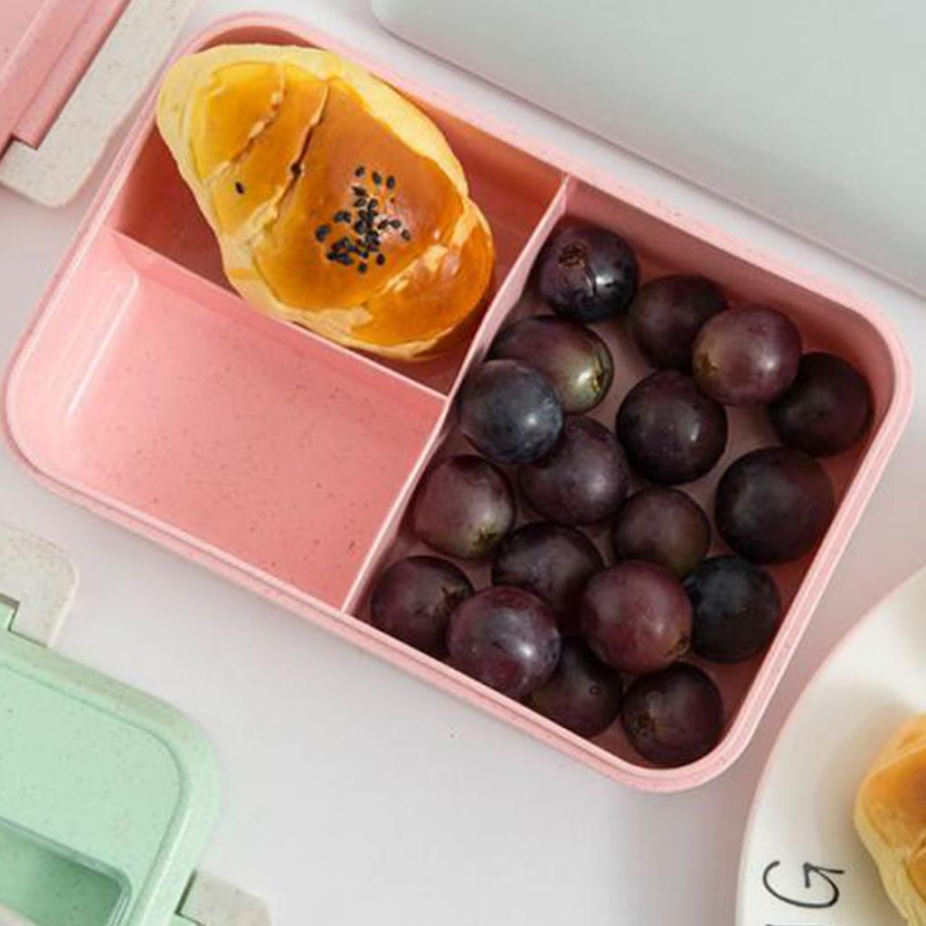 Lunch Box Compartmentalized Insulated Bento Box Reusable Food Storage Containers with Lid for Students Office Workers