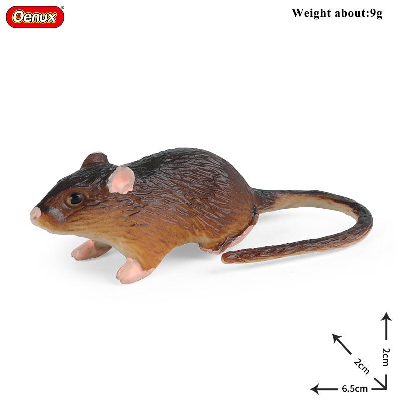 Oenux  Wild Animals Forest Orangutan Pigeon Hedgehog Aardvark Capybara Action Figure Model Figurines Pvc Collection Kids Toy