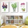 Anemone Buchet Orchild Plantă Mentă Decor pentru sufragerie Pictură pe pânză Flori Vitrina Hotelului Afișe de decorare a casei