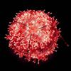 Led String Fairy Lights Christmas Tree Decors For Garden Outdoor Party Festoon