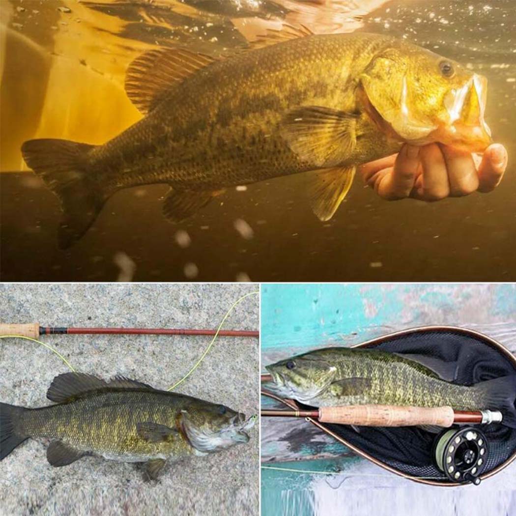 5/10 шт. — фото 11