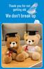Graduation Gift Bear for Students: Doctoral, Master's, University, Kindergarten