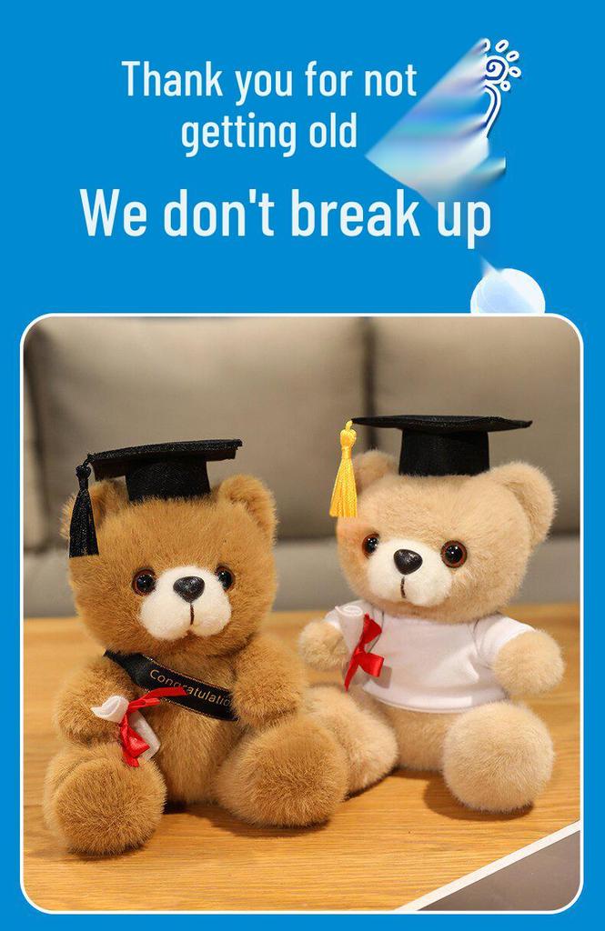 Graduation Gift Bear for Students: Doctoral, Master's, University, Kindergarten