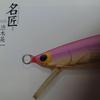 Used The truth about the minnow game: Japanese minnows that are the best in the world