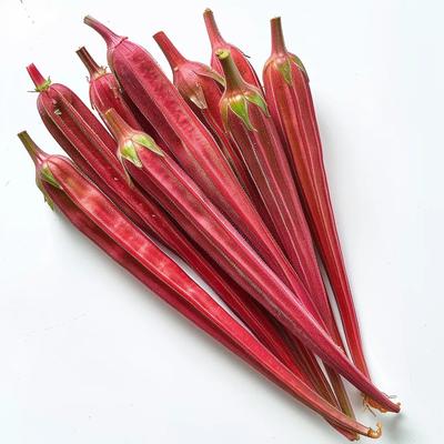 25 Frön Röd Okra - SemiVild Permakultur