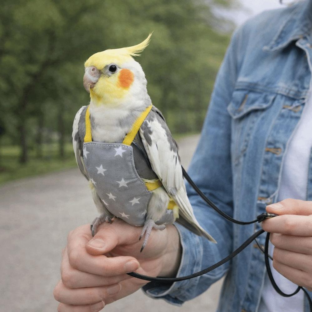 Adjustable Bird Flight Suits Breathable Escape Proof Parrot Outdoor Leashes Feces Pocket Parrot Flying Harness Outdoor Travel