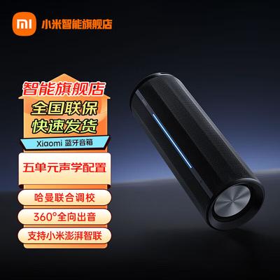 Xiaomi Portable Outdoor Bluetooth Speaker CN Plug (adapter Included) (CN Version)