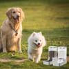 Plastic Automatic Pet Water Dispenser Large Capacity Pet Automatic Feeder  for Dogs Cats