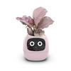 Intelligent Lazy Automatic Water Absorbing Flowerpot Plastic Resin Circular Usb Rechargeable Indoor Plant Small Flowerpot YLE22