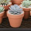 Natural Clay Planter Terracotta Flowerpot, Plant Pot with Drainage Hole, Porous Durable Garden for Indoor Outdoor Plants Succulents Cacti Herbs