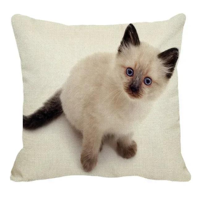 Thailand Cat Theme Pattern Double-Sided Printed Pillow Cover Short Plush Suitable Living Rooms Bedrooms Sofa Throw Cushion Cover