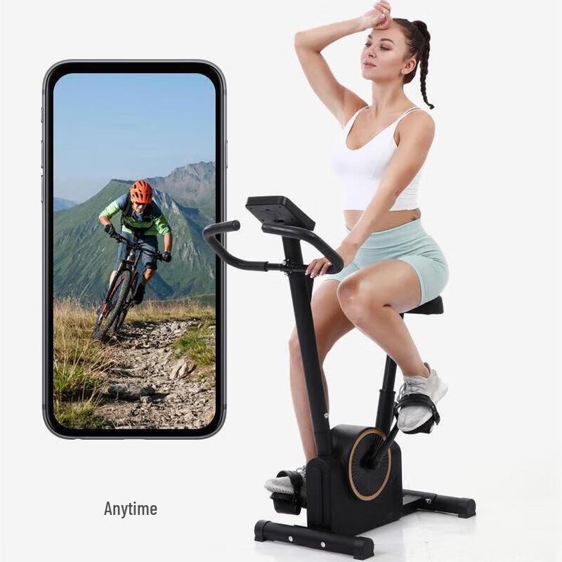 WEZHO Magnetic Spin Bike