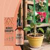 1~5X Root Drops - Liquid Rooting Hormone | Fast Propagation, Stronger Roots | Works In Water, Soil, Leca, Moss | for All Indoor Houseplants  neW